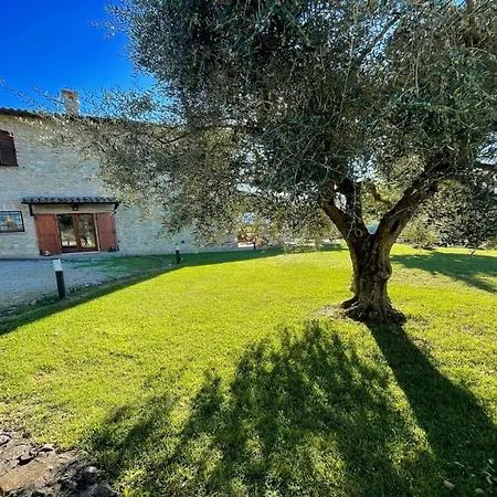Todi By The Poolexclusive Poolwalk To Todi 5 Kmsrestaurant 05 Kmswifi