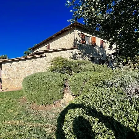 Отель Todi By The Poolexclusive Poolwalk To Todi 5 Kmsrestaurant 05 Kmswifi Petroro